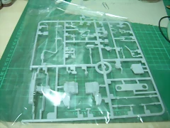 DSCN2620 DSCN2620