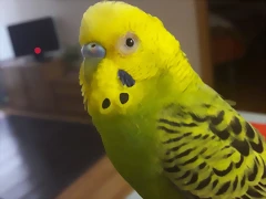 20170311_083204