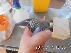 CIMG1322 CIMG1322