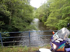 DSCN0230 DSCN0230