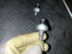 DSCN5945 DSCN5945