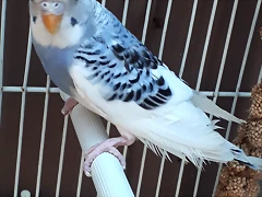 20190915_131225