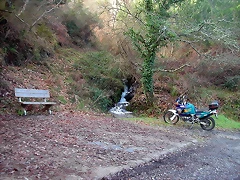 DSCN5503 DSCN5503