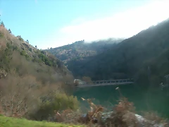 DSCN5499 DSCN5499