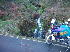 DSCN5526 DSCN5526