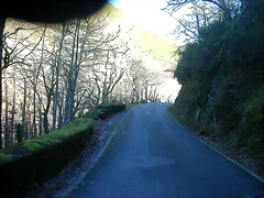 DSCN5529 DSCN5529