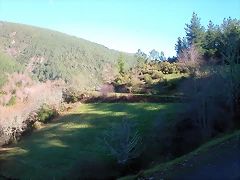 DSCN5522 DSCN5522