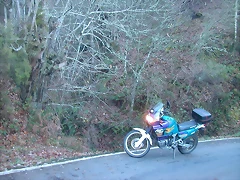 DSCN5520 DSCN5520