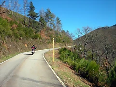 DSCN5538 DSCN5538
