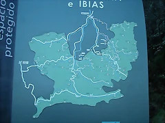 DSCN5551 DSCN5551