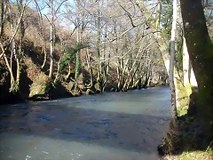 DSCN5513 DSCN5513