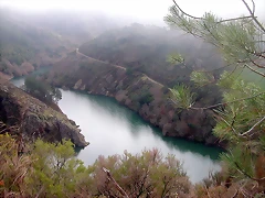 DSCN5493 DSCN5493