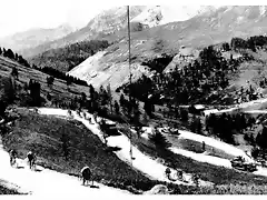 allos1932