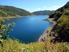 DSCN4141 DSCN4141