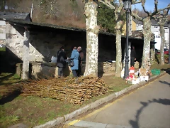 DSCN2466 DSCN2466