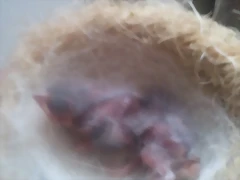 2013-07-26 18.48.16