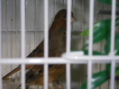 IMGP0027