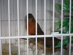 IMGP0028