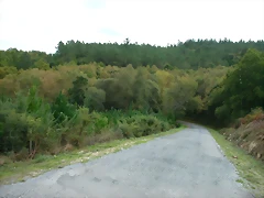 DSCN5823 DSCN5823