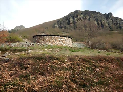 DSCN4831 DSCN4831