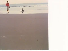 img037