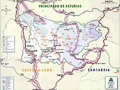 Picos general Picos general