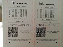 52599426_2558118450895980_8860174380940918784_n