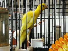 IMG_20170122_133244 IMG_20170122_133244