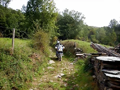 DSCN9690 DSCN9690