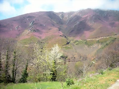 DSCN3936 DSCN3936