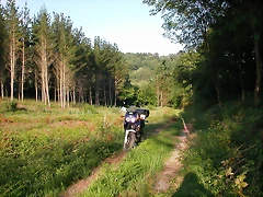 DSCN1166 DSCN1166