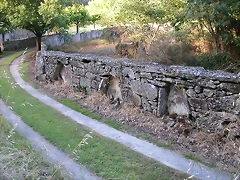 DSCN1170