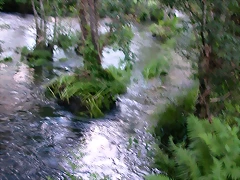 DSCN1186