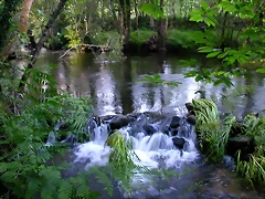 DSCN1183