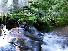 DSCN1189