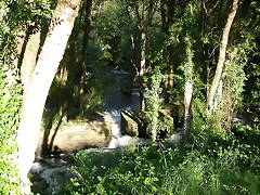 DSCN1154 DSCN1154