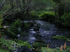 DSCN1178