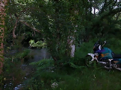 DSCN1180