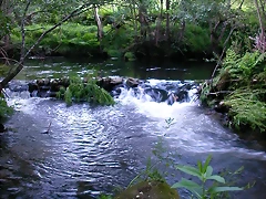 DSCN1188