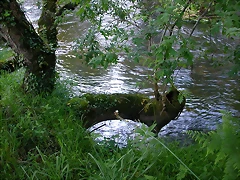 DSCN1190