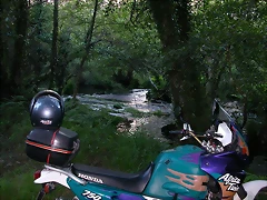 DSCN1175