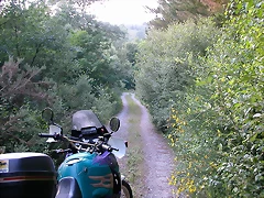 DSCN1174