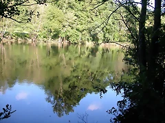 DSCN1161 DSCN1161