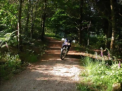 DSCN1164 DSCN1164