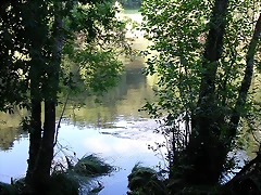 DSCN1162 DSCN1162