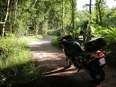 DSCN1163 DSCN1163