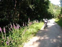 DSCN1156 DSCN1156