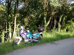 DSCN1155 DSCN1155