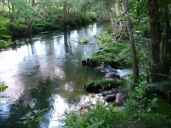 DSCN1182