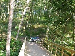 DSCN1165 DSCN1165